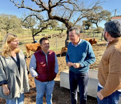 Huelva.- PP destaca que las ayudas de la Junta por la lengua azul beneficia a 519 ganaderos de ovino y bovino de Huelva
