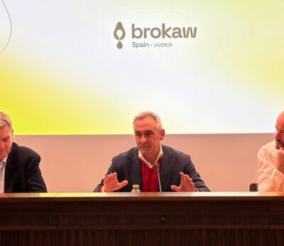 Barrachina destaca que la Comunitat se consolida como referente en aguacate al aportar el 21% de la producción española