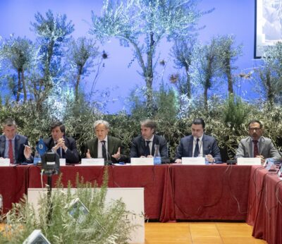 El COI destaca el «récord histórico» de la campaña oleícola 24-25 con «más de 3,5 millones de toneladas» en el mundo