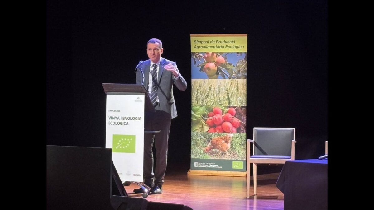 Agro.- Catalunya triplica en una década la superficie de viña ecológica, que alcanza el 61%