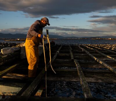 Pesca.- La presencia de toxinas obliga a cerrar los bancos marisqueros de la ría de Pontevedra y zonas de Arousa