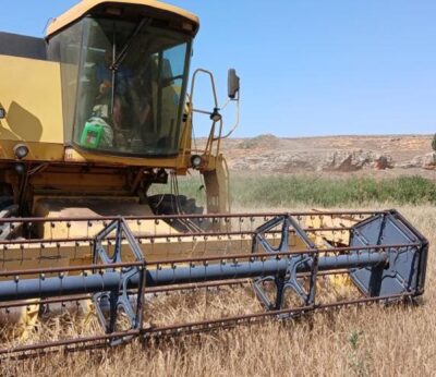 Agricultura abona más de 18 millones de euros en el segundo anticipo de la PAC