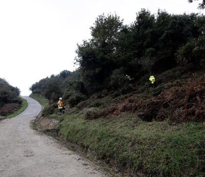 Desarrollo Rural convoca ayudas por dos millones de euros para mejorar los pastizales de aprovechamiento común en 2026