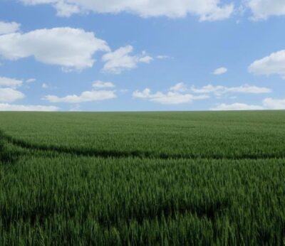 Agricultura aprueba el pago 11,8 millones de euros para el seguro agrario