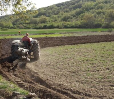 Casi 11.000 agricultores y ganaderos reciben el reconocimiento del Departamento de Agricultura