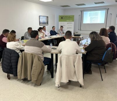 C-LM mantiene el liderazgo en producción de ajo alcanzando el 59,7% de media entre 2013 y 2023, según un estudio