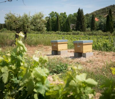 Agro.- Familia Torres gana el Premio Vinari de Enoturismo a la Mejor Actividad Medioambiental