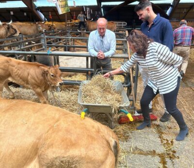Rural.- El PP asegura que el 33% de los ganaderos asturianos no han recibido «ni un solo euro» de ayudas PAC