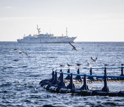 La industria atunera de Cartagena, a la espera del reparto europeo tras el aumento de cuota mundial de atún rojo
