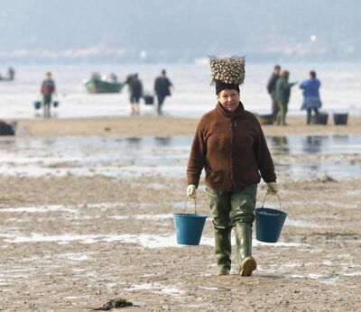 25N .- Todo el Parlamento pide a la Xunta «la integración de la perspectiva de género» en las políticas de marisqueo
