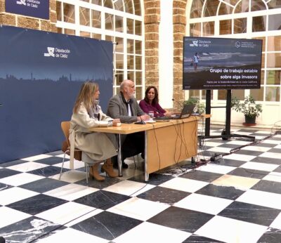 CádizAlDía.- Diputación confirma la continuidad de ayudas a municipios afectados por el alga invasora