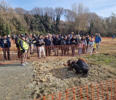 El consejero Javier Rincón respalda al sector trufero en la VI Feria de la Trufa Negra de Graus (Huesca)