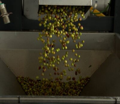 Siete cooperativas de C-LM se unen a la Marca Producto Cooperativo para diferenciar sus productos en calidad y precio