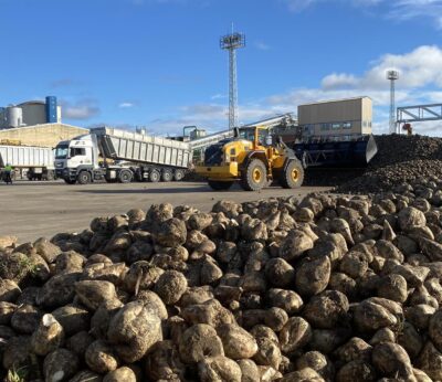 ACOR celebrará el martes la Asamblea de Delegados que votará las cuentas 2024/2025 con 2,5 millones en negativo