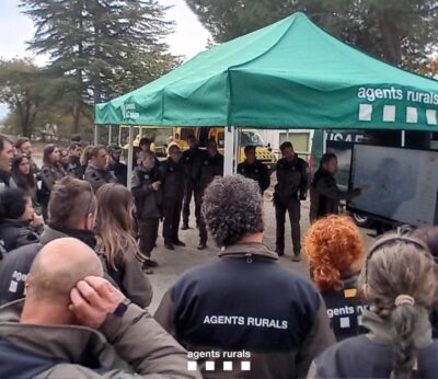 Agro.- Parlon destaca el «despliegue de choque» de Agents Rurals ante la peste porcina africana