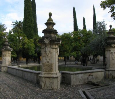 Ivia y Universidad de Córdoba analizan en un proyecto los árboles del patio de los naranjos de la Mezquita-Catedral