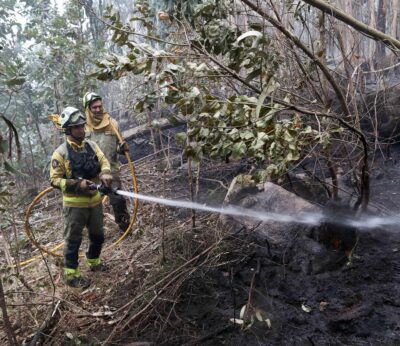 Rural.- (AM) Xunta refuerza ayudas para contratar desempleados para prevención de fuegos y crea el coordinador municipal