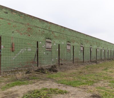 Agro.- Los precios del cerdo en Mercolleida caen tras los casos de Peste Porcina Africana