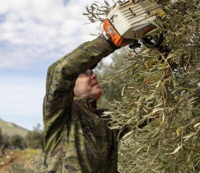 Córdoba.- El II Global Innovation Forum Econatur reúne a líderes científicos y profesionales agroalimentarios