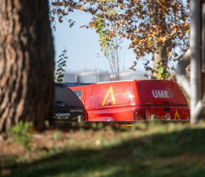 Aumentan a 9 los casos de peste porcina africana en jabalíes en Cataluña