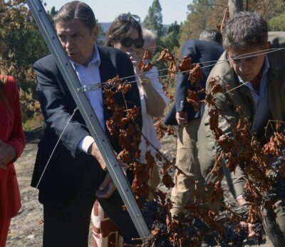 El Gobierno inicia hoy el pago de ayudas de 27,8 millones a agricultores y ganaderos afectados por incendios