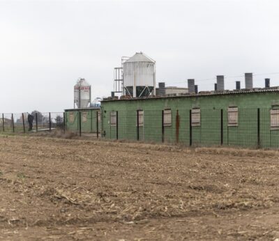 Agro.- Batlle pone Barcelona a disposición del Govern para cualquier actuación por la PPA