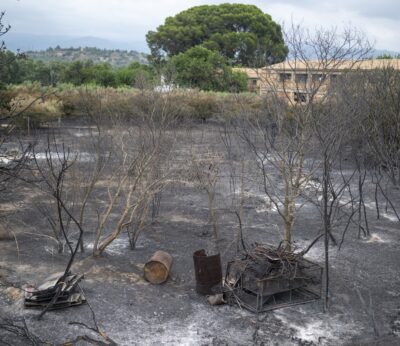 Agro.- El Gobierno abona las ayudas directas a agricultores y ganaderos catalanes por los incendios