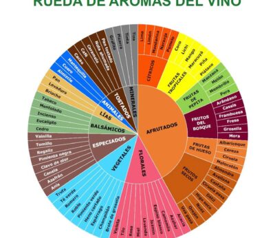 Córdoba.- El Ifapa publica recursos formativos para diversificar las producciones vitivinícolas e impulsar
