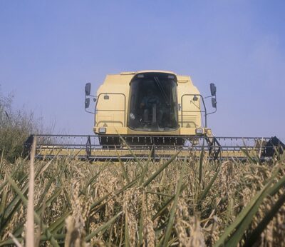 Agricultores valencianos rechazan el acuerdo en la reforma del GSP porque creen que desprotege al sector arrocero