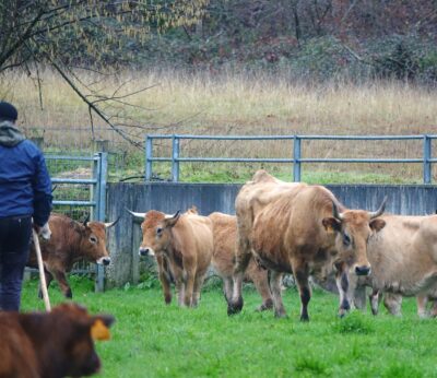 Rural.- El plan ‘Incorpórate al agro’ suma 193 nuevos profesionales al sector