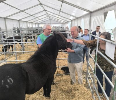 Rural.- el PP acusa al Principado de negar ayudas a 79 asturianos que quieren incorporarse a la ganadería