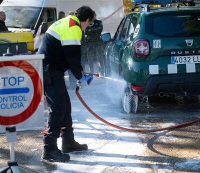 Rural.- La Comisión Europea limita a 91 municipios catalanes el área de exclusión por la peste porcina africana
