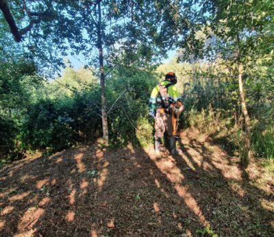 Rural.- La Fegamp rechaza la propuesta de convenio de la Xunta para limpieza de franjas y pide negociar mejoras