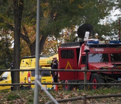Agro.- Mercolleida vuelve a bajar 10 céntimos el precio del kilo de cerdo, hasta los 1,10 euros