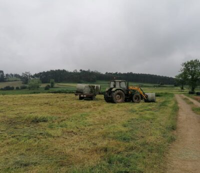 Rural.- El Principado abona más de 21,4 millones de la PAC y alcanza el 90% de las ayudas directas