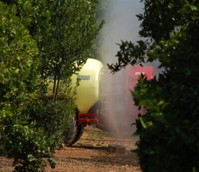 La Unió advierte de que el CBAM incrementará los costes para los agricultores valencianos