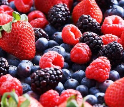 Huelva.- Freshuelva prevé un ligero incremento del 1% en la superficie de frutos rojos para la campaña 2026