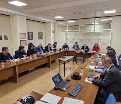 El Comité de Expertos en peste porcina africana celebra su primera reunión y fija una hoja de ruta coordinada