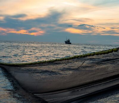 Euskadi «estudiará medidas para amortiguar las pérdidas» tras la bajada de la cuota de captura de verdel en un 70%