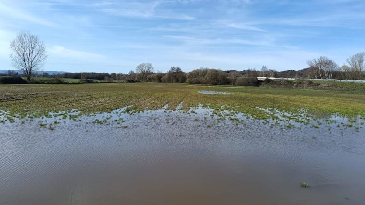 Córdoba.- Las persistentes lluvias retrasan la siembra de los cereales ...