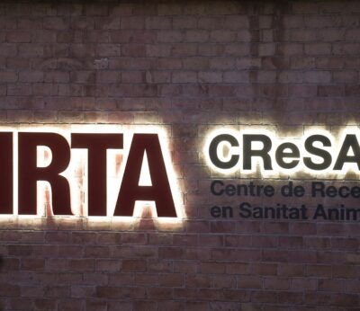 Agro.- Sagalés (Irta-CReSA) afea que el Ministerio «apuntara» al centro por la PPA sin pruebas