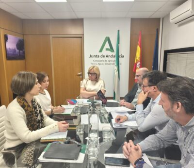 La Junta perfila ayudas para el campo tras las borrascas en diálogo con el sector agrario andaluz