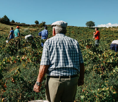 Del campo a la mesa: el boom de los pequeños productores