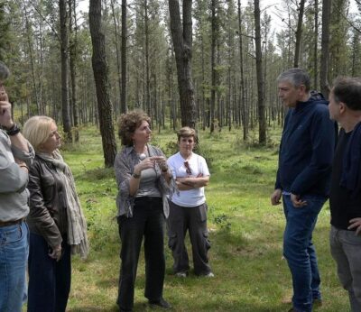 Rural.- La Xunta refuerza el apoyo a los particulares afectados por la banda marrón con tratamientos gratuitos